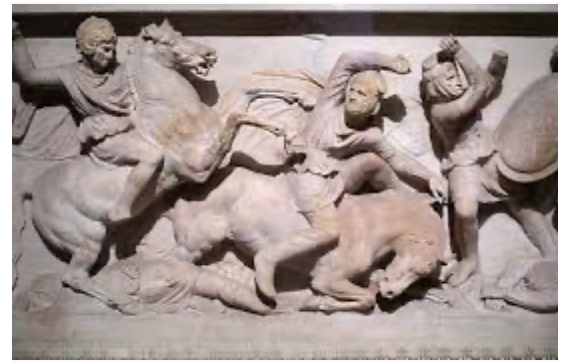 aparición de las polis