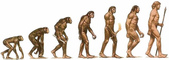 aparició primers éssers humans