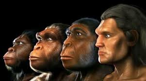 APAREIX EL PRIMER ESSER HUMÀ