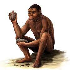 Apareixen els primers essers humans