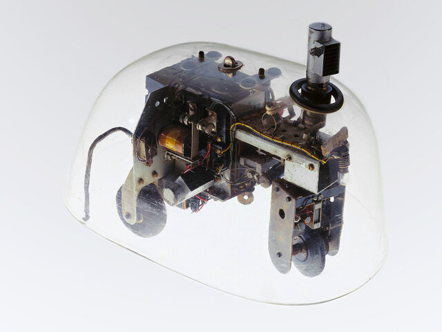 tortue cybernétique