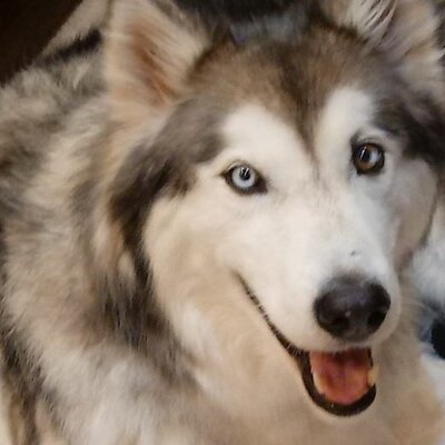 Timeline: American Revolution Illustrated Time-Line