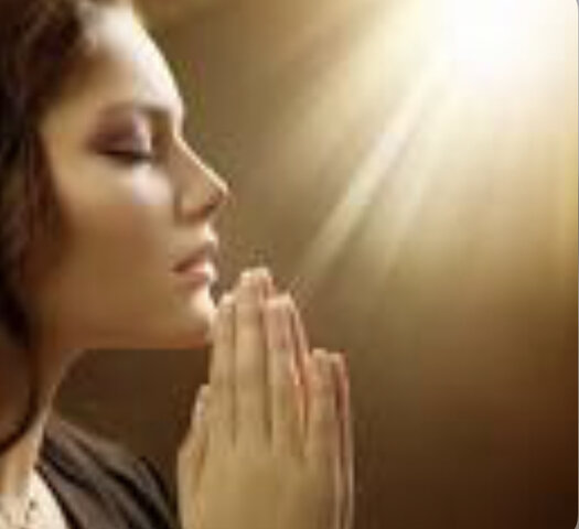 How do they treat disease?