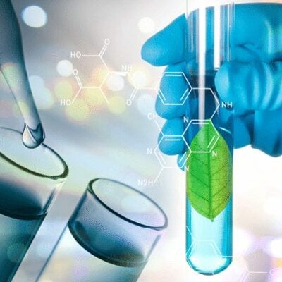 Timeline: BIOLOGÍA MOLECULAR LÍNEA DEL TIEMPO (LIZETTE MARGELI CRUZ VICENTE)