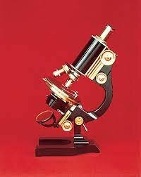 Microscopio Binocular