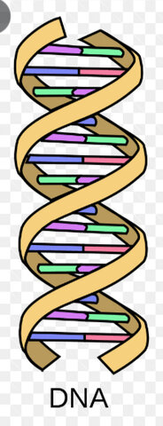 “Genetic Garbage”