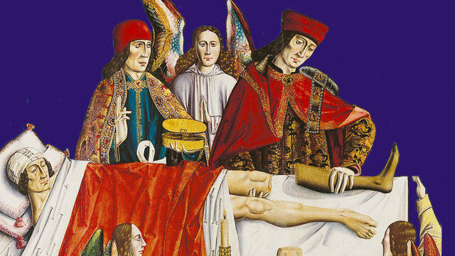 Stopped the study of medicine why?