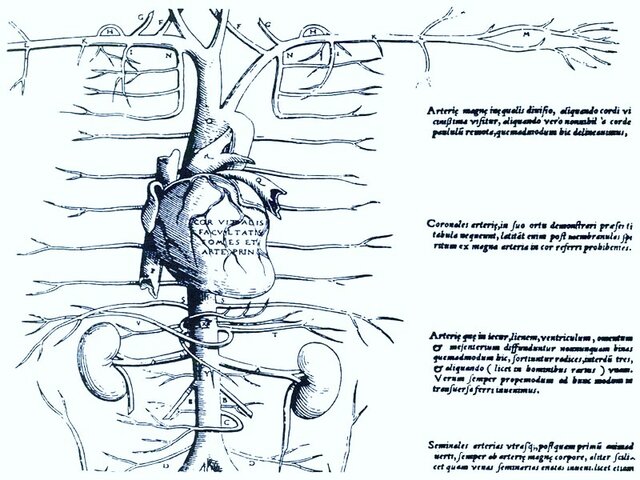 DESCRIPCION DEL SISTEMA CIRCULTIRIO PULMANAR