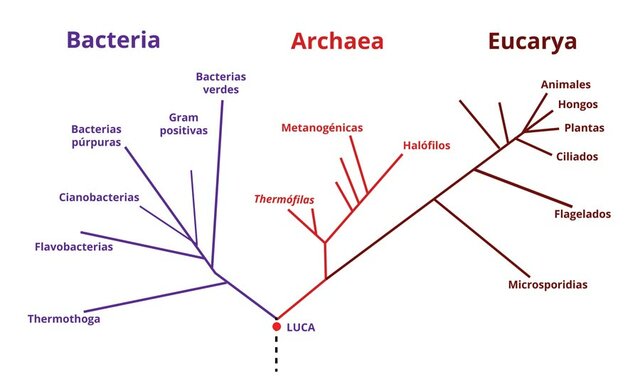 Sistema de los tres dominios