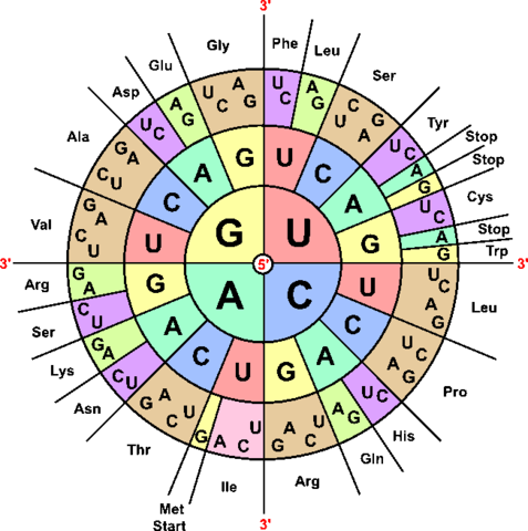 Genetic code