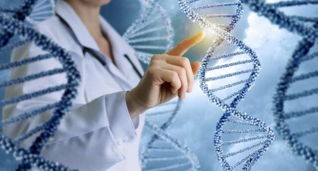 Se propone el termino "Genética"