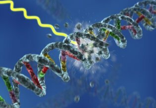 Muller y Stadler demuestran que la radiación X induce mutaciones genéticas