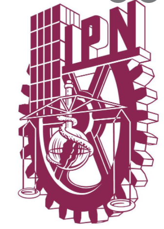 Termino mi educación básica, media superior e ingreso a mi primer carrera profesional: Ingeniería Industrial del IPN