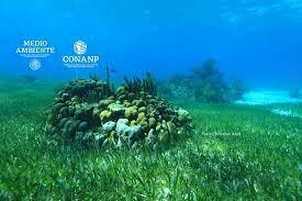 07 de febrero de1973