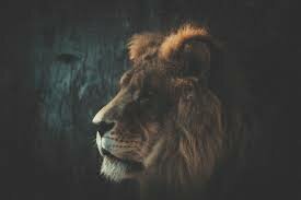 Salva: Southern Sudan 1985