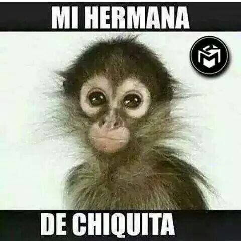 Nueva integrante en mi familia.