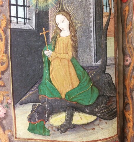 How do they treat disease?