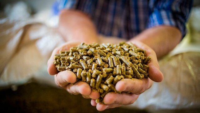 Reducción de alimentos