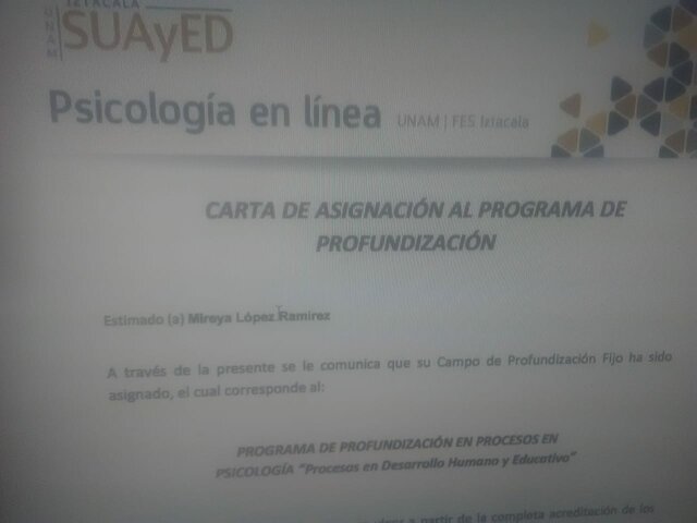 Campo de profundización