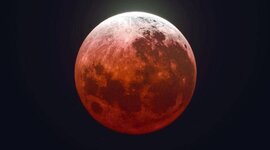 Timeline: Microscopia