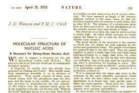 Artículo en Nature describe el ADN-B