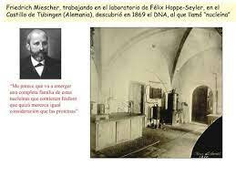 Publicación del descubrimiento de Friedrich Miescher