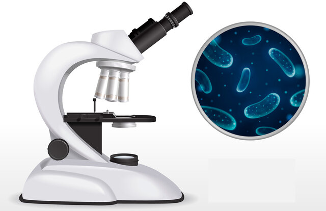 The history of the microscope with the cell