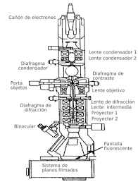 microscopio electrónico de transmisión