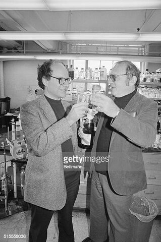 Walter Gilbert y Mark Ptashne confirman molecularmente el modelo del operón.