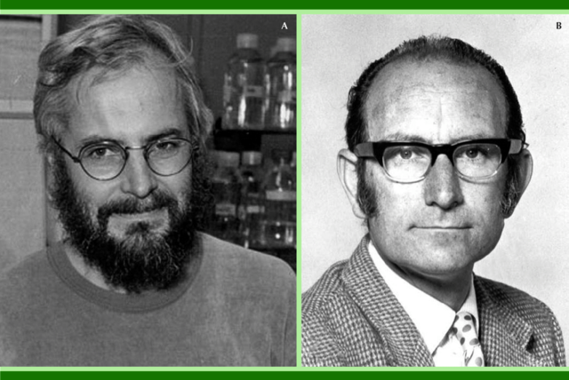Georges J. F. Köhler y César Milstein fusionan células  para producir anticuerpos monoclonales