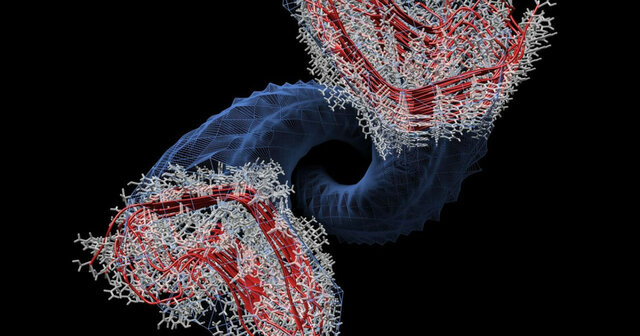 Stanley B. Prusiner descubre que los priones son partículas infecciosas compuestas sólo por proteínas