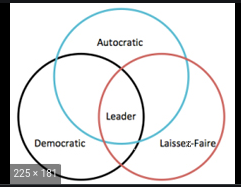 Authoritarian and Participative Theories