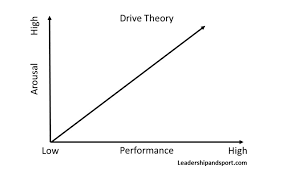 Drive Theory