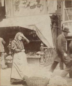 Immigration to the United States, 1851-1900