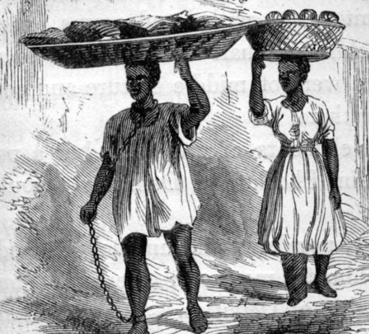 Austin's colonies have populated more