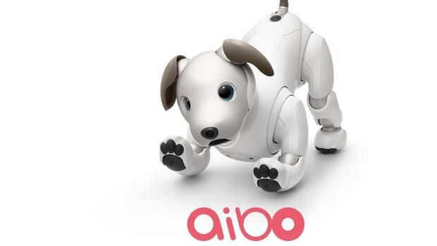 AIBO
