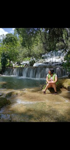 primer año de carrera