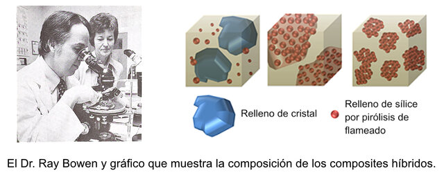R.L Bowen llevó a la invención de compuestos