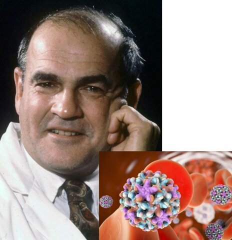 Descubrimiento del Virus de Hepatitis B