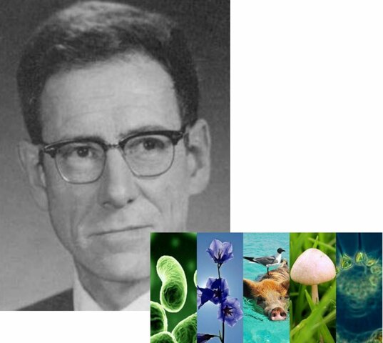 Clasificación de los 5 reinos