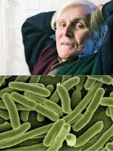 Descubrimiento de las arqueas