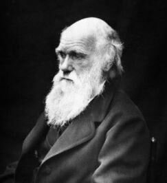 1era revolucion industrial