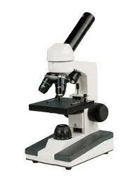 The Microscope