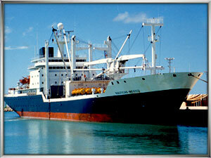 El trabajo comenzó desde joven.