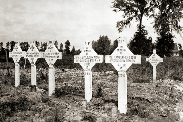 Conseqüències de la guerra