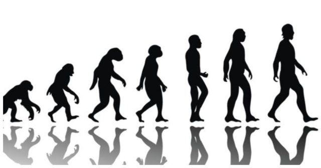 Aparició de l'esser humà