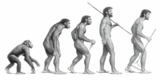 aparició de l'esser humà