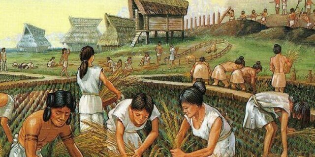 Prehistoria  Neolítico