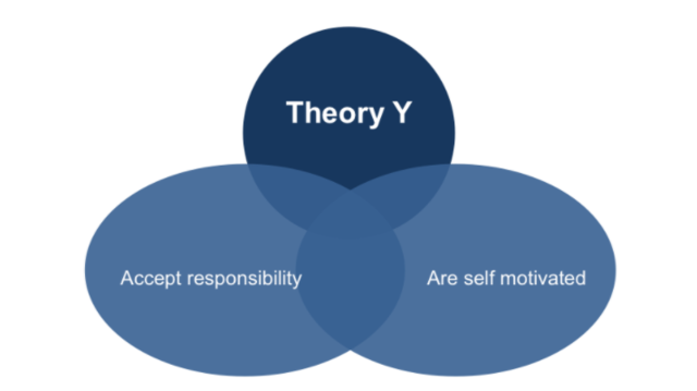 Theory Y