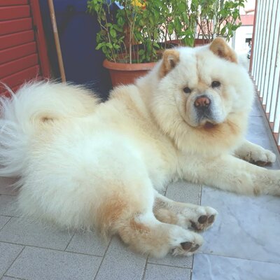 Timeline: Stagioni 2